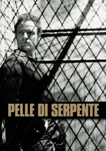 Pelle di serpente streaming