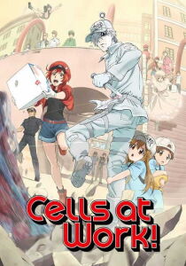 Cells at Work! streaming