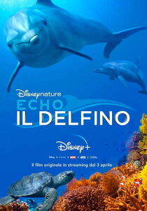 Dolphin Reef - Echo, il delfino streaming