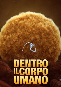 Dentro il corpo umano streaming