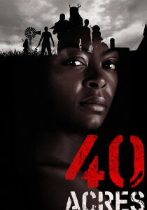40 Acres streaming