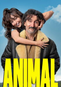 Animal streaming