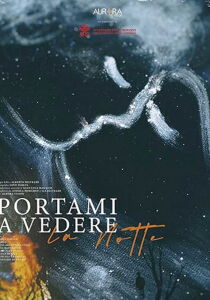 Portami a vedere la notte streaming