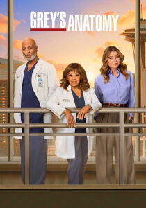 Grey's Anatomy streaming