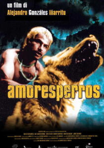 Amores Perros streaming